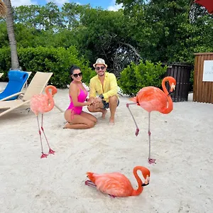 Bavaro Suites Pool Punta Cana